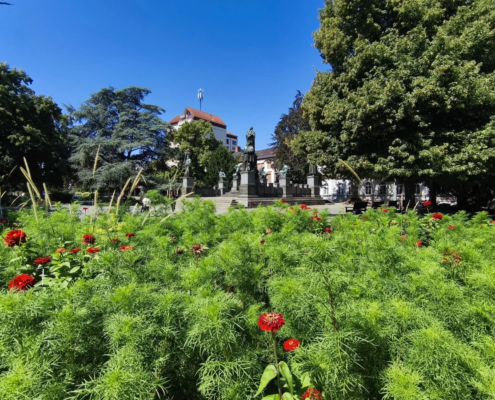 Eingang zum Lutherplatz
